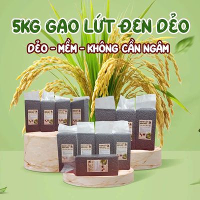 5kg Gạo Lứt Điện Biên. Mua bán Đồ ăn, thực phẩm và các loại khác tại Huyện Chương Mỹ Hà Nội được đăng bởi Tổng kho gạo lứt