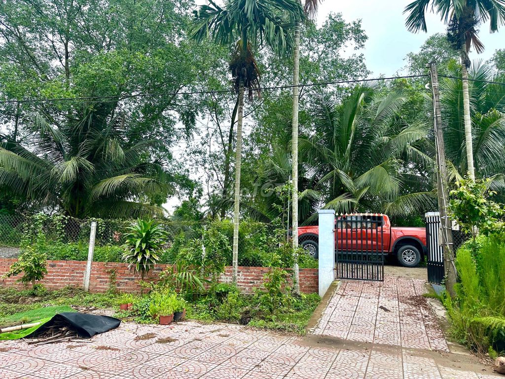 cần bán nhà gần cầu số 1 3phòng ngủ diện tích 589,2m. Mua bán nhà ở tại Huyện Mang Thít Vĩnh Long được đăng bởi Kiều Diễm  hình 2