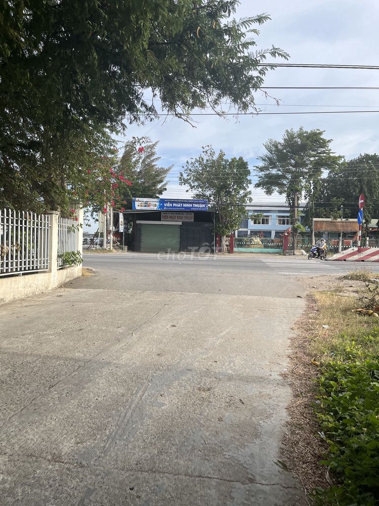 Bán Đất Nông Nghiệp 1284m2 HxH đường Nguyễn Viết Xuân -Bình Quý NPhuoc. Mua bán Đất tại Huyện Ninh Phước Ninh Thuận được đăng bởi Minhland68 hình 3