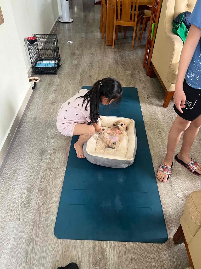 Thảm yoga chống trượt. Mua bán Đồ thể thao, Dã ngoại tại Thành phố Đà Lạt Lâm Đồng được đăng bởi Tuấn AFC hình 1