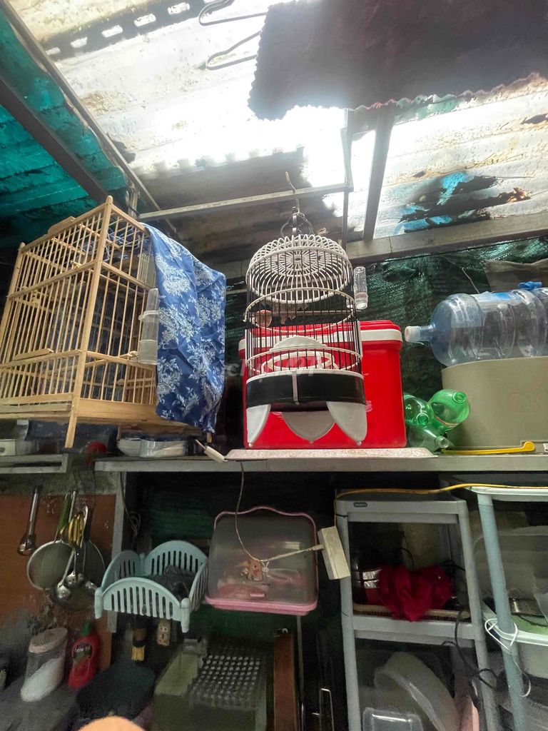 Lồng chim nhựa Trung Quốc dễ vệ sinh. Mua bán Phụ kiện, Thức ăn, Dịch vụ tại Quận Hoàng Mai Hà Nội được đăng bởi Chòe Chích hình 1