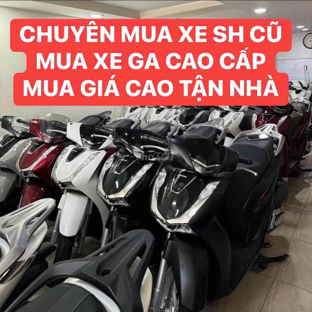 CẦN MUA XE MÁY CŨ GIÁ CAO TẬN NHÀ CÁC DÒNG.. Mua bán Xe máy tại Quận Bình Tân Tp Hồ Chí Minh được đăng bởi XE MÁY THỦ ĐỨC  hình 1