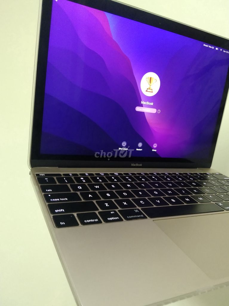 Apple Macbook Retina 12inch  2017 Vàng hồng. Mua bán Laptop tại Quận Tân Bình Tp Hồ Chí Minh được đăng bởi Anh Minh hình 1