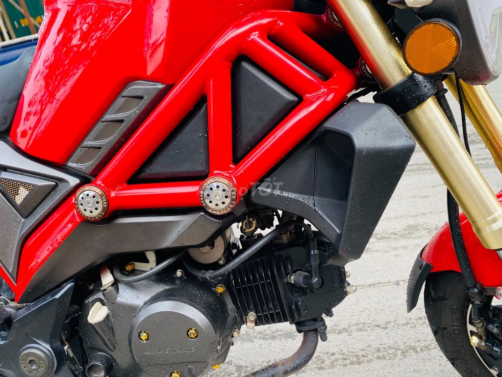 Ducati Monster mini II đời chót biển số 29.