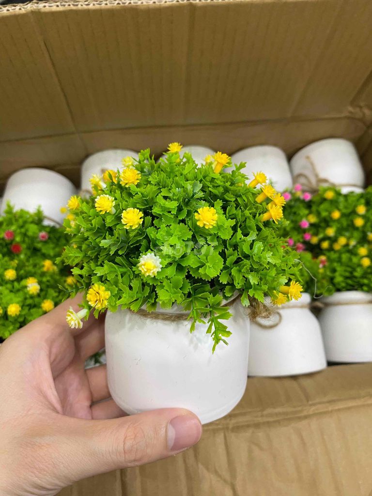 Cây cảnh giả trang trí nhựa nhiều màu dễ vệ sinh. Mua bán Cây cảnh, đồ trang trí tại Huyện Hóc Môn Tp Hồ Chí Minh được đăng bởi Minimal Space hình 1