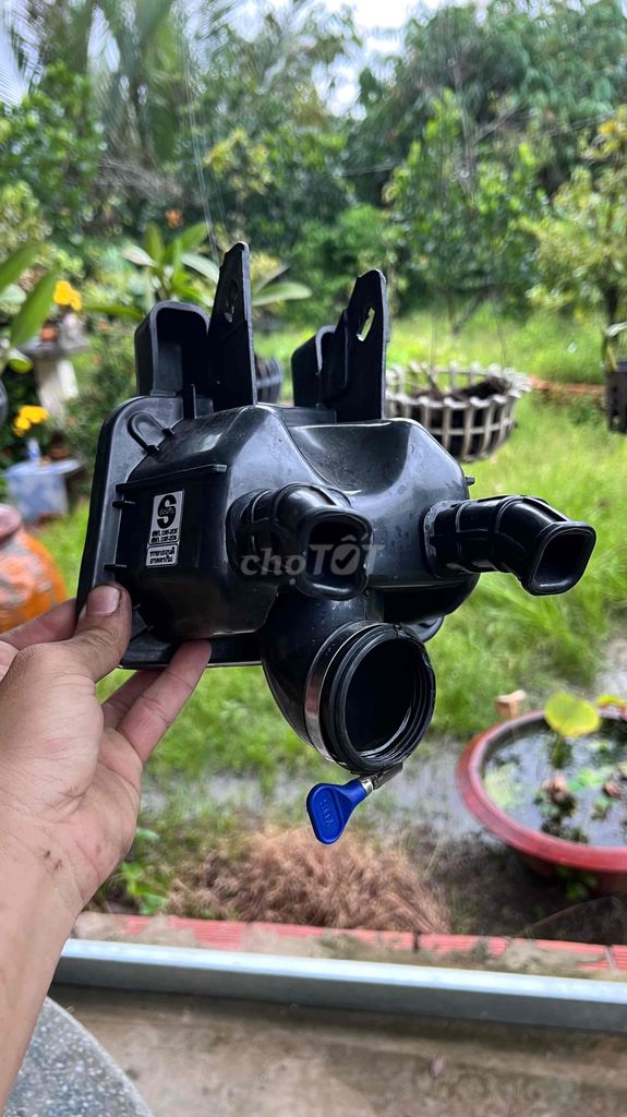 Bình Bông mai và pô e bông mai. Mua bán Phụ tùng xe tại Huyện Cai Lậy Tiền Giang được đăng bởi Thắng Nguyễn hình 4