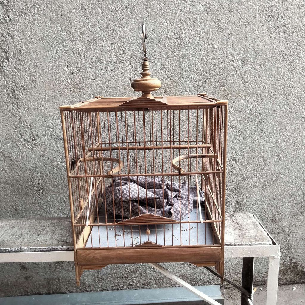 Lồng chim tre già kiểu xưa. Mua bán Phụ kiện, Thức ăn, Dịch vụ tại Huyện Trảng Bom Đồng Nai được đăng bởi huy hình 1