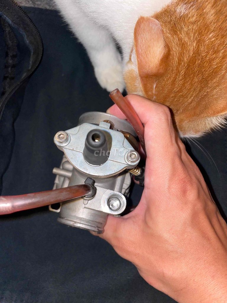 Bình xăng con Keihin ga dẹp. Mua bán Phụ tùng xe tại Quận 3 Tp Hồ Chí Minh được đăng bởi Trần Phúc Thiên Bảo hình 6