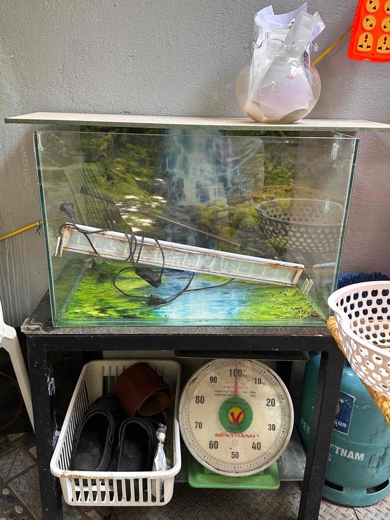 Thanh lý Hồ cá Kính Kim loại 80x40 cm kèm kệ. Mua bán Nội thất, đồ gia dụng khác tại Quận Thanh Khê Đà Nẵng được đăng bởi donna hình 1