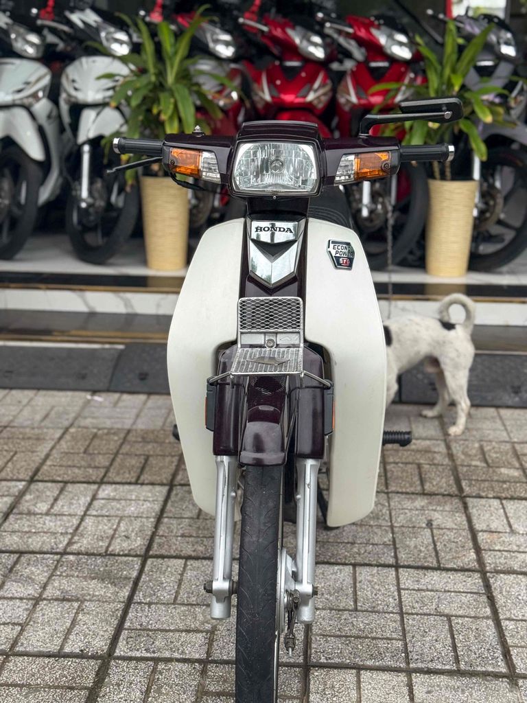 🌈 SUPPER DREAM HSCT XE CỨNG CÁP MÁY ÊM NGON💥CÓGÓP💥. Mua bán Xe máy tại Thành phố Sóc Trăng Sóc Trăng được đăng bởi Mạnh Huỳnh hình 2