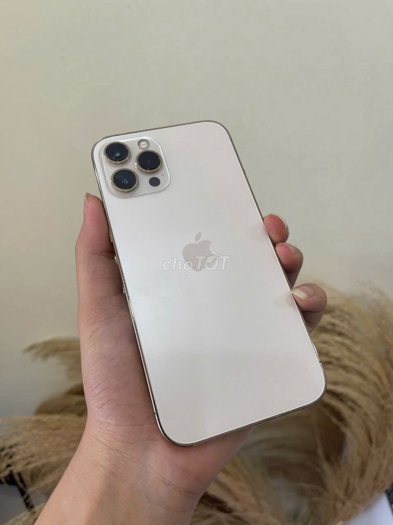 iPhone 12 Pro Max Vàng đồng. Mua bán Điện thoại tại Huyện Việt Yên Bắc Giang được đăng bởi mình tên bằng hình 1
