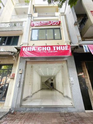Cho thuê nhà Mặt tiền Hải Thượng Lãn Ông, Q5-4,2x20m-4 Tấm-4p4w