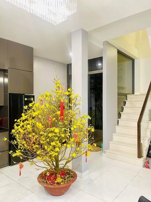 Nhà phố 120 m² · 4 PN · KDC Nguyễn Bình