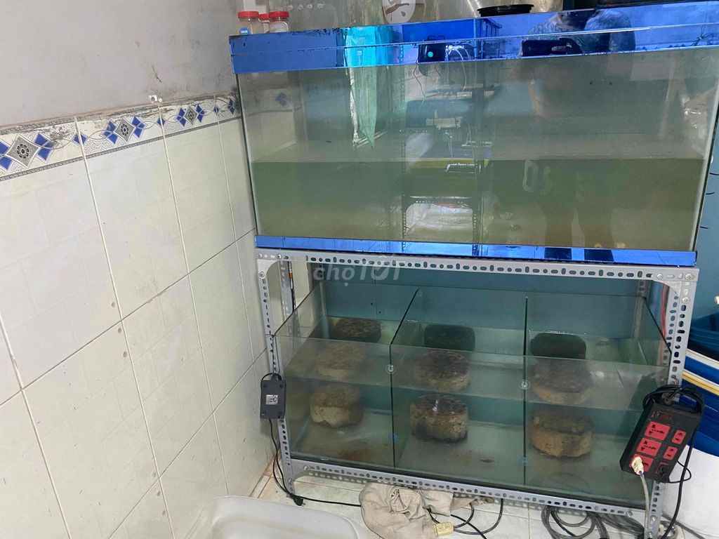 hồ cá. Mua bán Phụ kiện, Thức ăn, Dịch vụ tại Huyện Nhơn Trạch Đồng Nai được đăng bởi Tuấn Lê hình 1