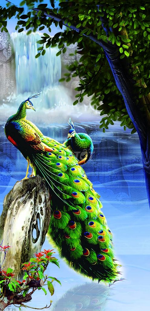 Gạch ốp tường phòng khách chim công 3d. Mua bán Đồ chuyên dụng, Giống nuôi trồng tại Thành phố Điện Biên Phủ Điện Biên được đăng bởi PhuongLoanshop hình 3