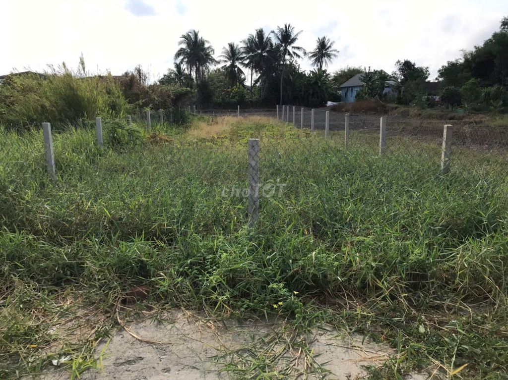 Chính chủ cần bán 250m2 đất full thổ cư gần Quốc Lộ 50B