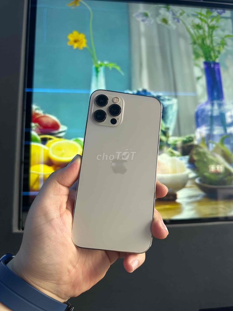 Apple iPhone 12 Pro 256GB Vàng 99%. Mua bán Điện thoại tại Thành phố Buôn Ma Thuột Đắk Lắk được đăng bởi Hoàng Phong hình 1
