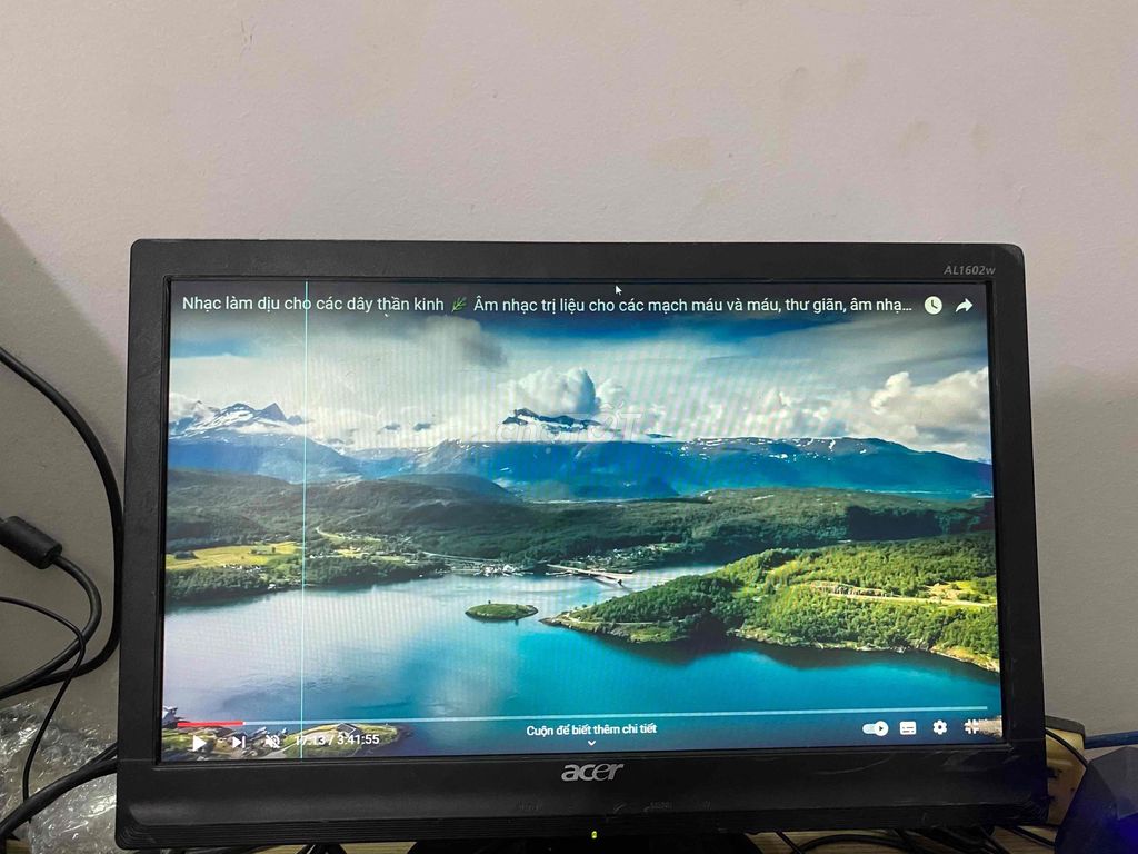 Màn hình máy tính Acer 17in