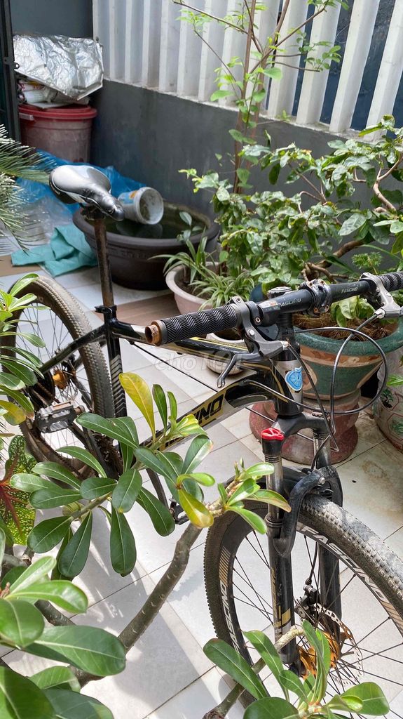 Cần Bán Xe Đạp. Mua bán Xe đạp tại Quận Hải Châu Đà Nẵng được đăng bởi Thao Hoang hình 4