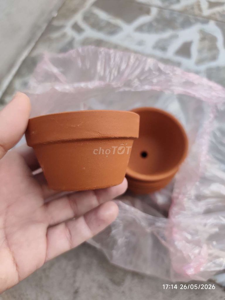 Chậu cây đất nung màu nâu đất. Mua bán Cây cảnh, đồ trang trí tại Quận Ninh Kiều Cần Thơ được đăng bởi Loan hình 1