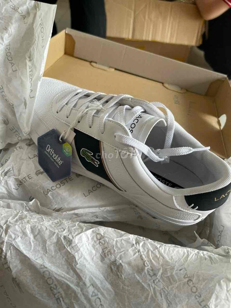 giày cá sấu Lacoste.xịn auth.size 8.như mới.0000