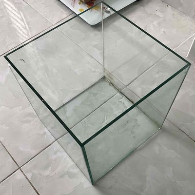 Hồ cubic 25cm giấu keo