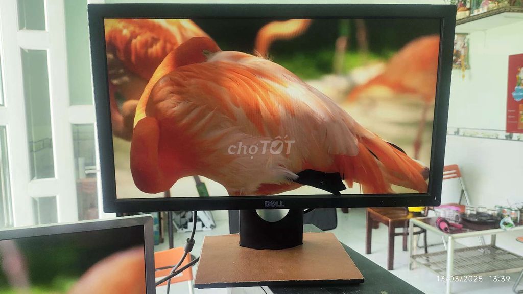 Màn dell 20in Vga+Displayport full đẹp