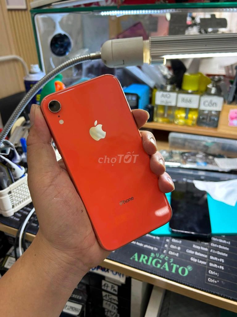 Apple iPhone XR 64GB Cam Đã sử dụng. Mua bán Điện thoại tại Quận Bình Thạnh Tp Hồ Chí Minh được đăng bởi Hội Đồ Điện Tử hình 1