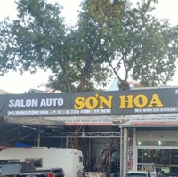 AutoSơnHoa