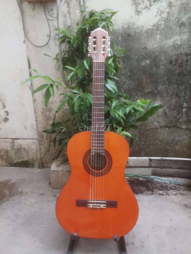 Guitar classic KAWAI WG 403