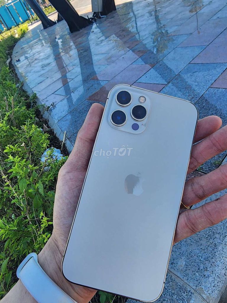 Apple iPhone 12 Pro Max 128GB Vàng. Mua bán Điện thoại tại Quận Hồng Bàng Hải Phòng được đăng bởi Duong hình 1