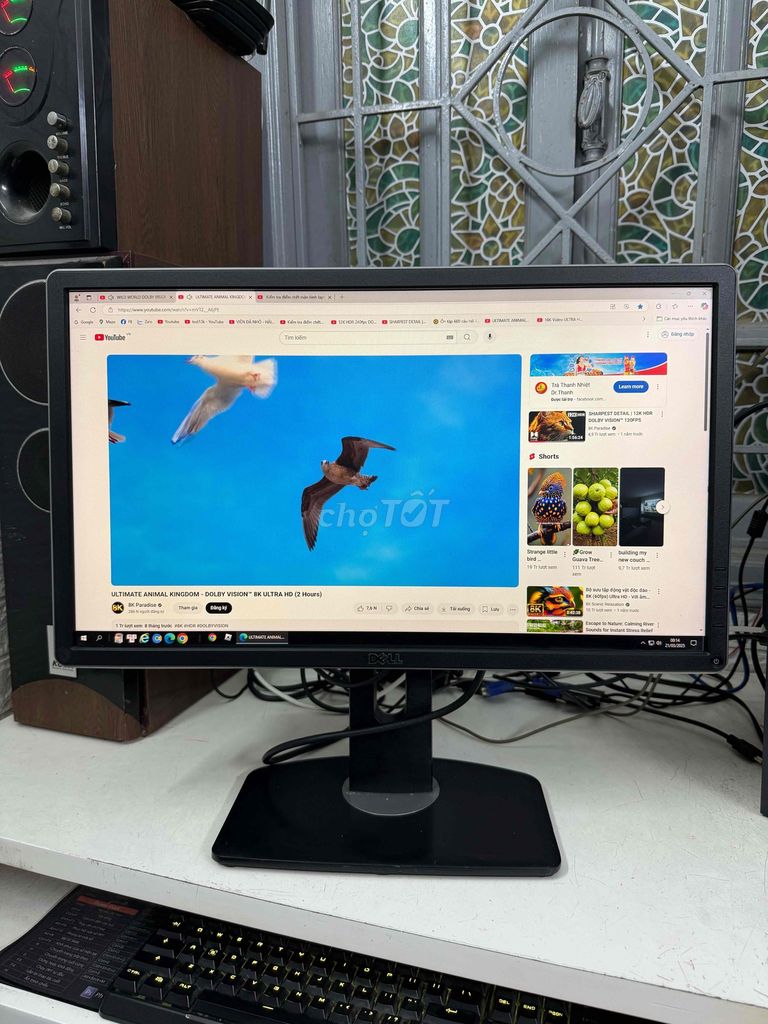 Bán màn hình Dell 23inch P2314h sáng đẹp