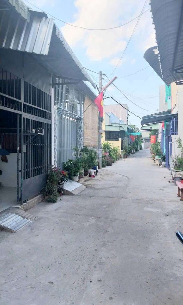 cho thuê nhà nguyên căn
