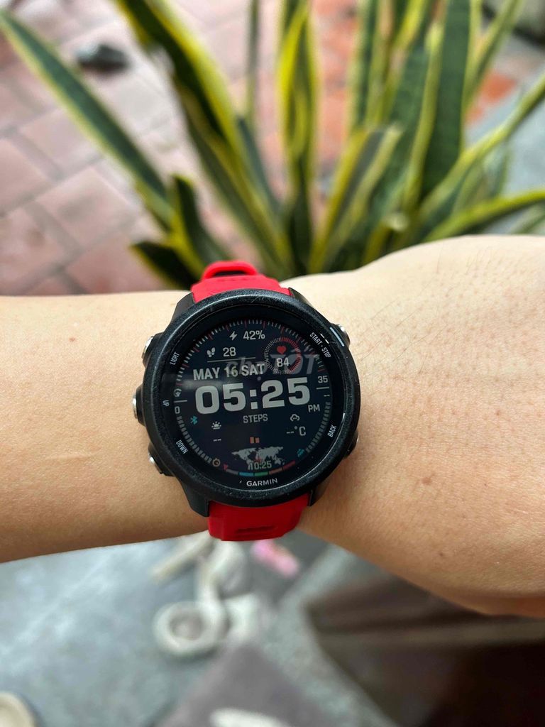 Garmin Forerunner 245 Đen Đỏ Đã sử dụng. Mua bán Thiết bị đeo thông minh tại Thành phố Phúc Yên Vĩnh Phúc được đăng bởi Thành hình 1