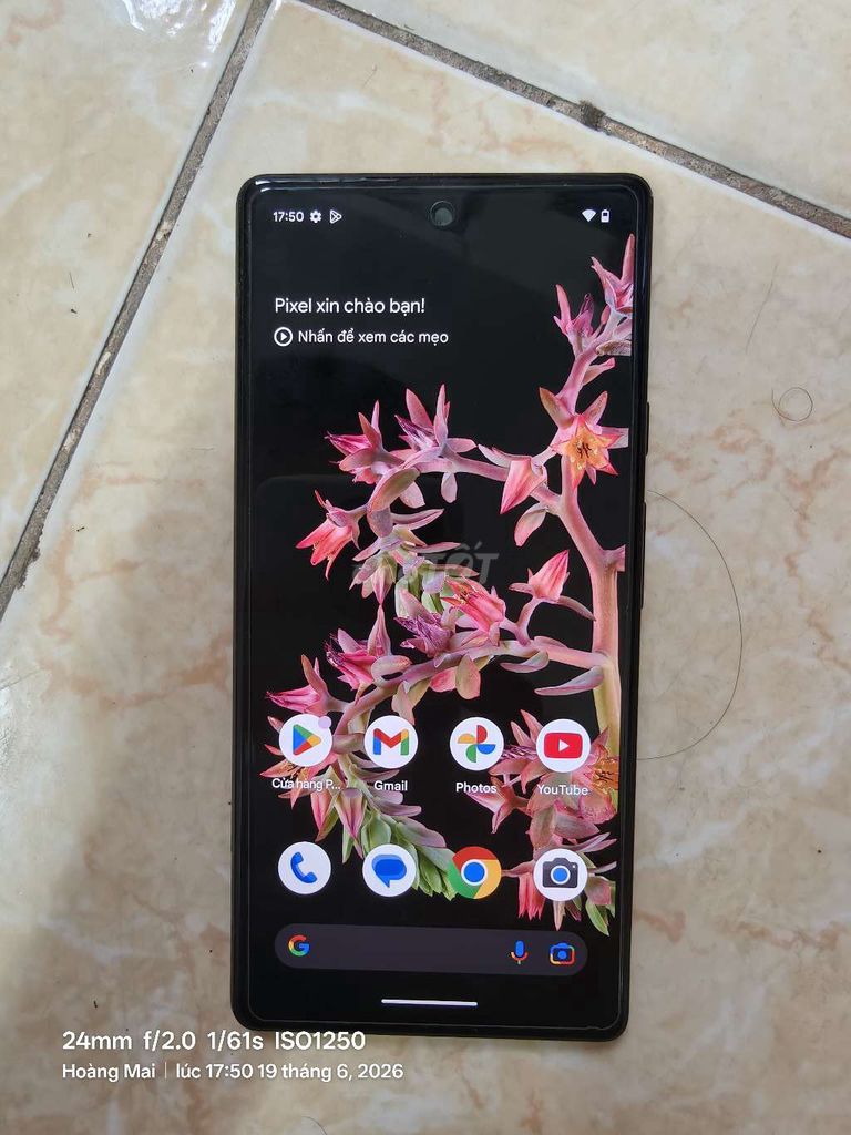 Google Pixel 6 Quốc tế màu Đen. Mua bán Điện thoại tại Quận Hoàng Mai Hà Nội được đăng bởi nguyễn kiên hình 1
