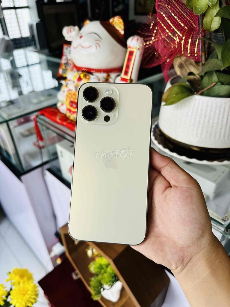 Apple iPhone 14 Pro Max 256GB Gold zin. Mua bán Điện thoại tại Thị xã Phú Mỹ Bà Rịa - Vũng Tàu được đăng bởi Bi Táo hình 1
