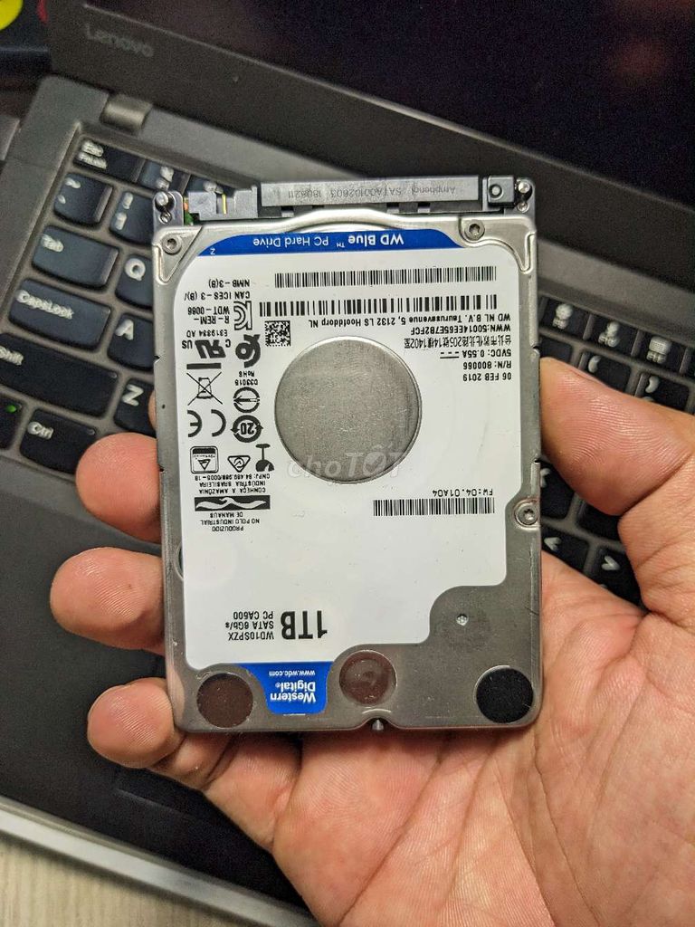 Ổ cứng HDD WD 2.5" 1TB