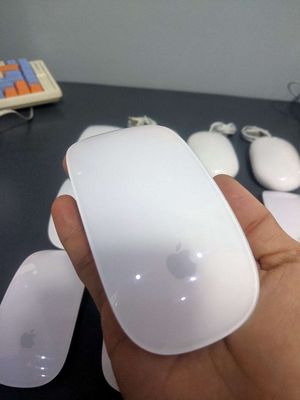 Xả hàng chuột Apple Magic Mouse, Mouse Mighty