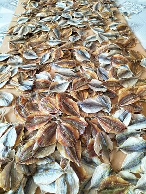 khô cá chỉ vàng rời con bự. Mua bán Đồ ăn, thực phẩm và các loại khác tại Huyện Củ Chi Tp Hồ Chí Minh được đăng bởi tiên