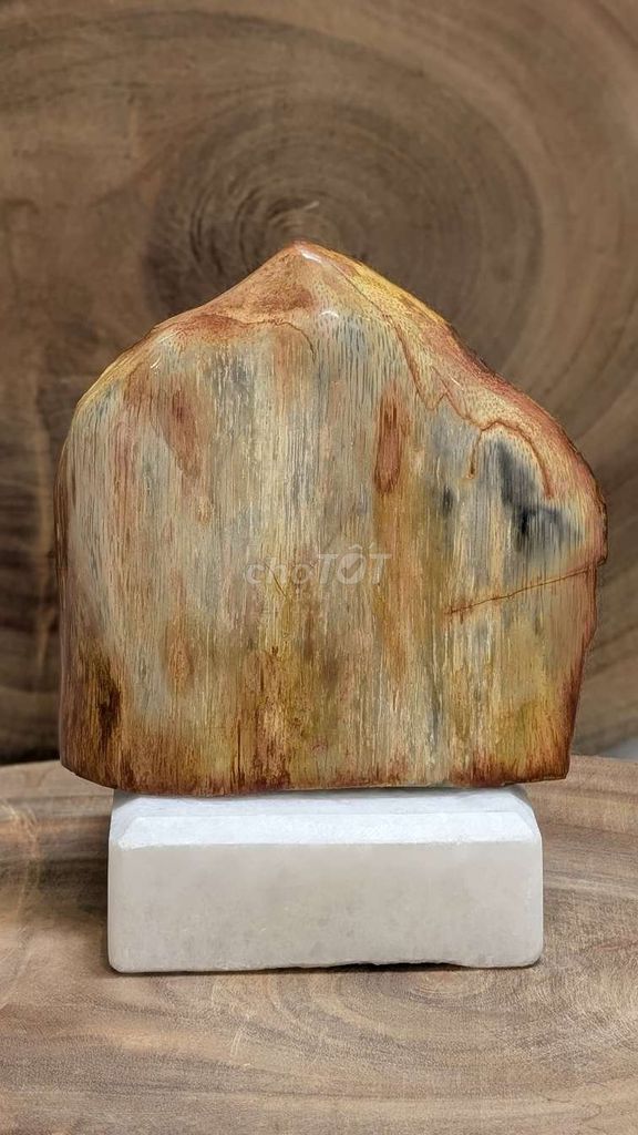 Gỗ hóa thạch tự nhiên 1.1kg. Mua bán Đồ sưu tầm, đồ cổ tại Quận 12 Tp Hồ Chí Minh được đăng bởi Cute Stuff Shop hình 1