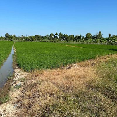 cần bán gấp đất lúa 3.472m2 gá rẻ