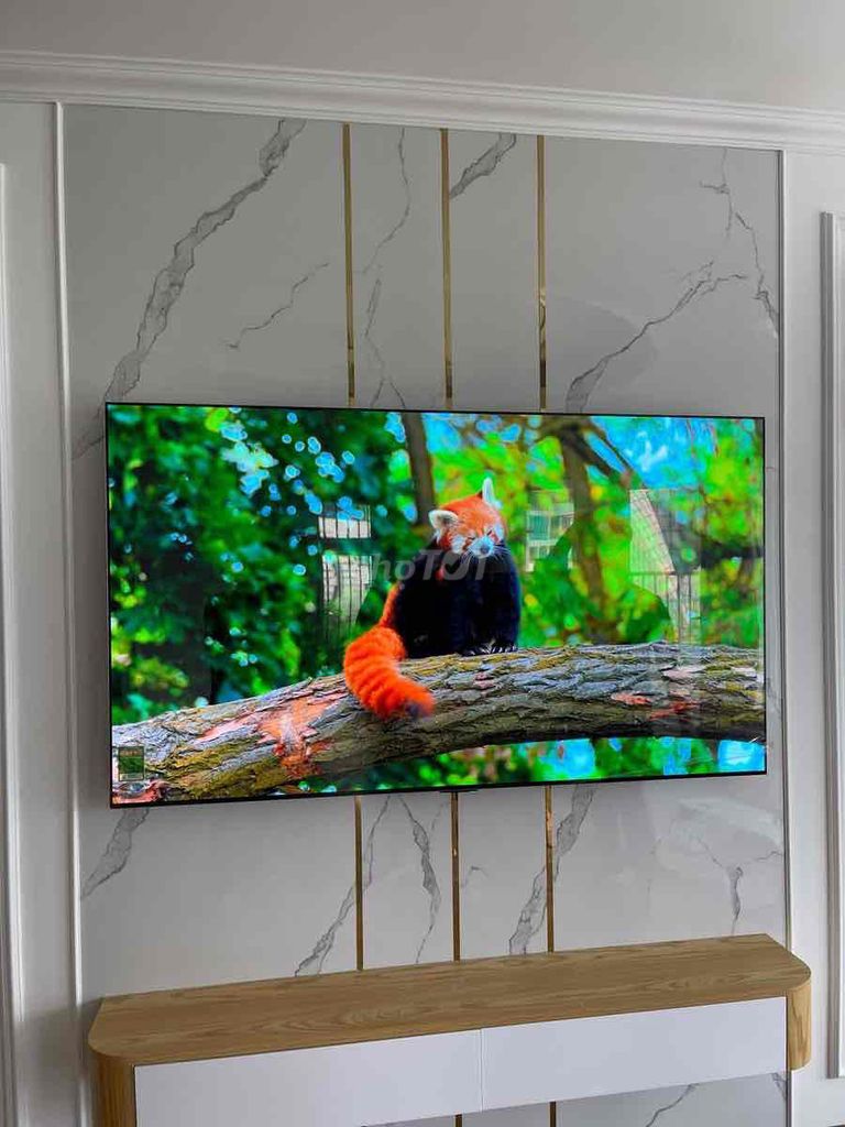Tivi LG OLED 55 inch. Mua bán Tivi, Âm thanh tại Quận Phú Nhuận Tp Hồ Chí Minh được đăng bởi Quang Lê hình 1