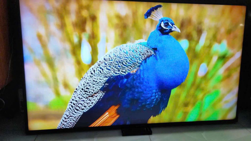 smart tv LG32IN wifi youtube chạt nhanh lẹ. Mua bán Tivi, Âm thanh tại Huyện Bình Chánh Tp Hồ Chí Minh được đăng bởi bán mau lẹ hình 1