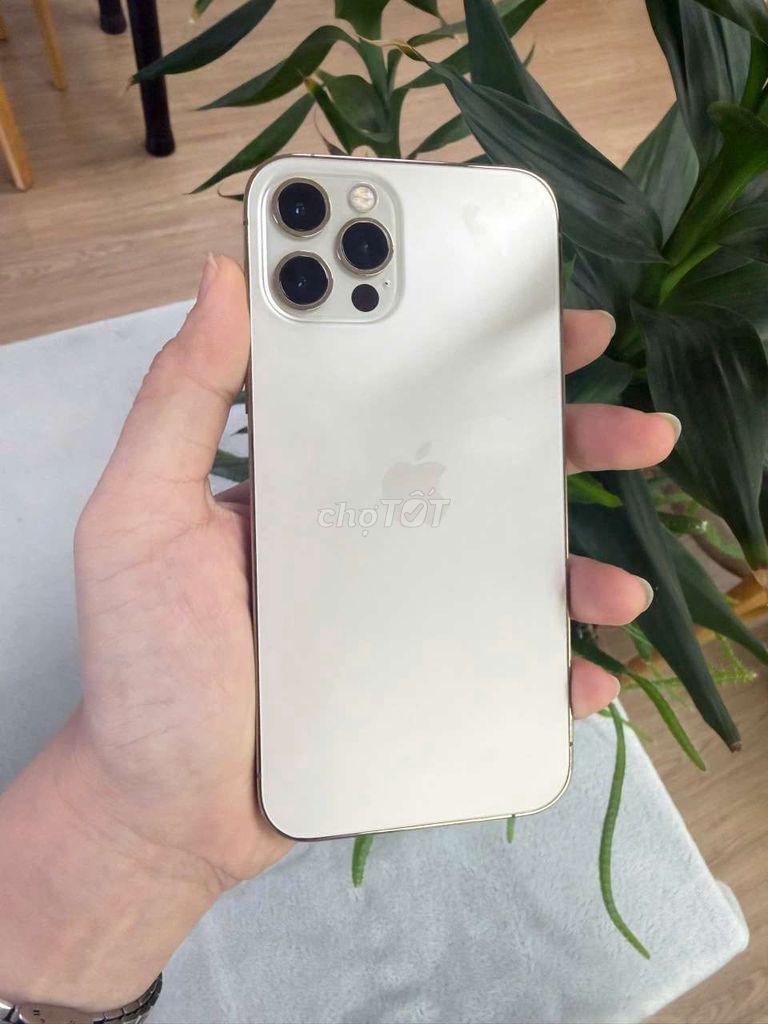 Apple iPhone 12 Pro 256GB Vàng. Mua bán Điện thoại tại Quận Ninh Kiều Cần Thơ được đăng bởi Di Động Cần Thơ hình 1