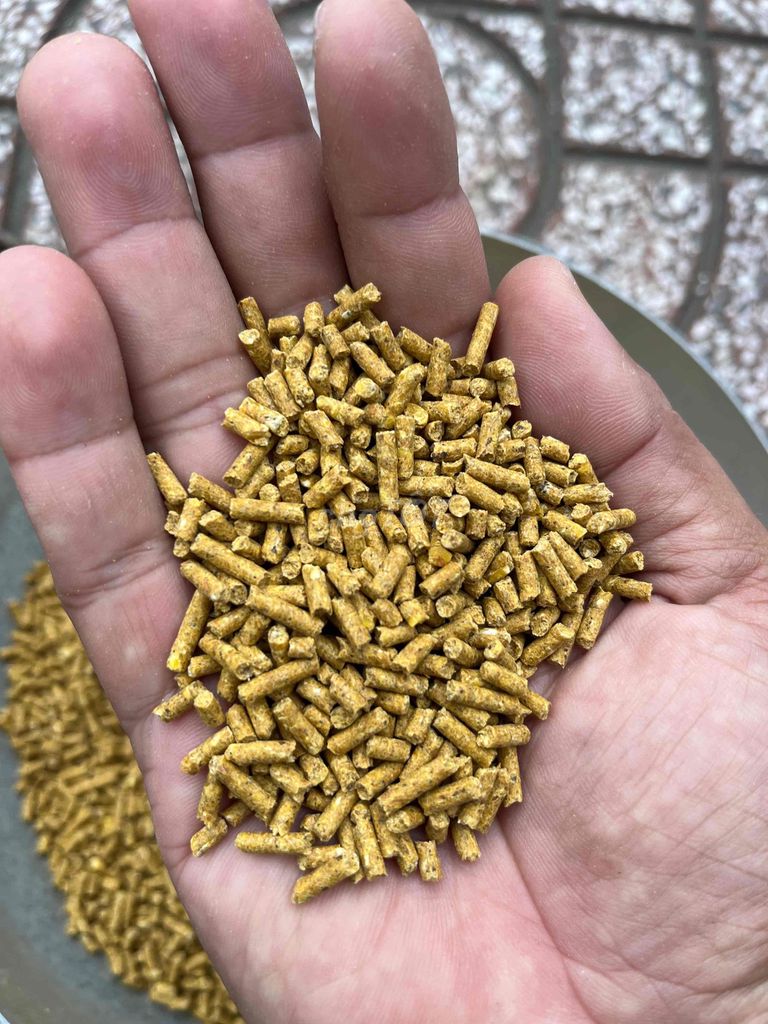 Thức ăn chăn nuôi Gà Viên nén. Mua bán Phụ kiện, Thức ăn, Dịch vụ tại Huyện Long Hồ Vĩnh Long được đăng bởi  Lê hình 1