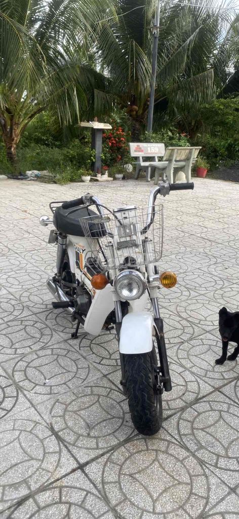 em cần bán xe chaly. Mua bán Xe máy tại Huyện Châu Thành Kiên Giang được đăng bởi hoang báo  hình 1