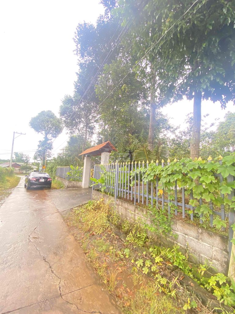 BÁN ĐẤT CĂN NHÀ VƯỜN XUÂN LẬP LONG KHÁNH 2ty3 823m