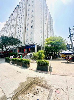cho tuuee Chung cư Thạnh Lộc Q12