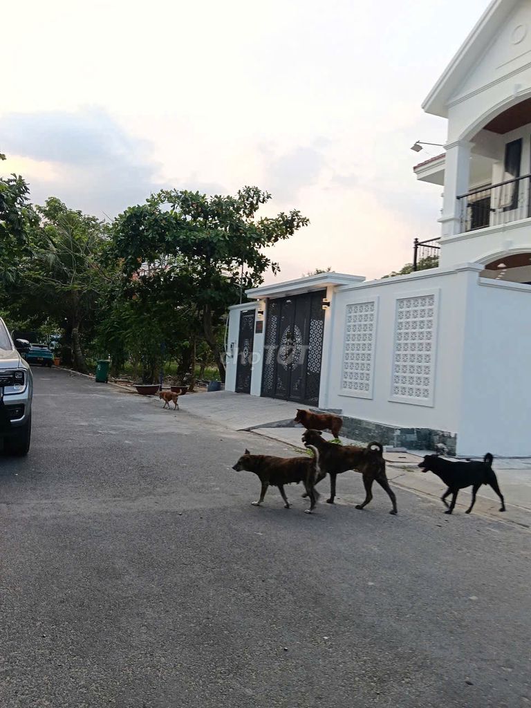 Bán đất 145m2 đường oto KDC Ven Sông Hiệp Bình chánh Thủ Đức 13 tỷ 8