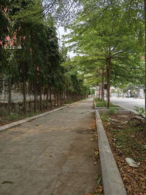 MỜI THUÊ KHO, XƯỞNG. Cho thuê văn phòng, mặt bằng kinh doanh tại Thị xã Từ Sơn Bắc Ninh được đăng bởi trần tiến